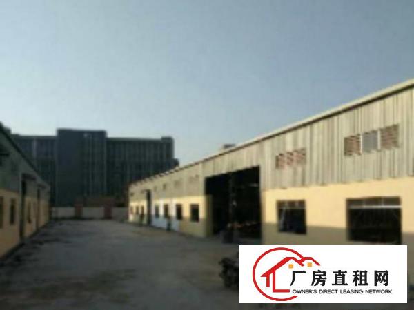  中堂超靓8000平方单一层钢结构铁皮厂房急租带消防