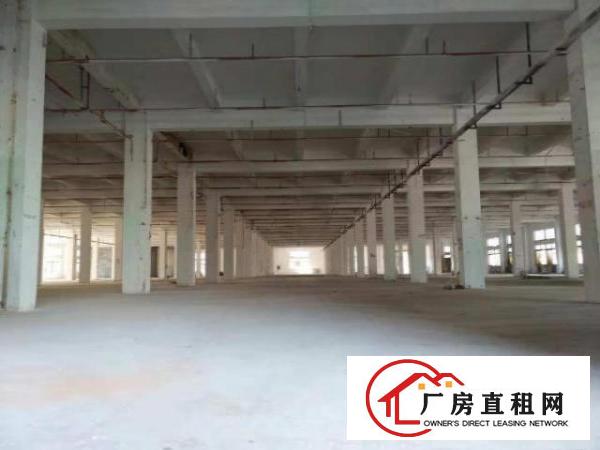  中堂标准一楼厂房500-5000平米低价招租层高6米,可装行