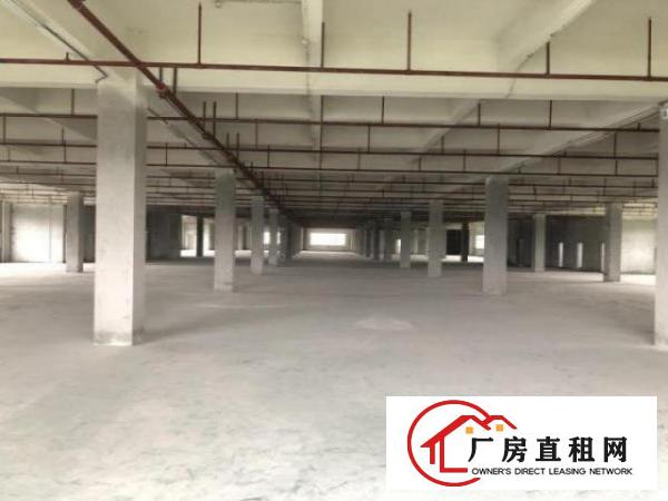  中堂标准一楼2000平方招租配电按需消防水电齐全可办环评