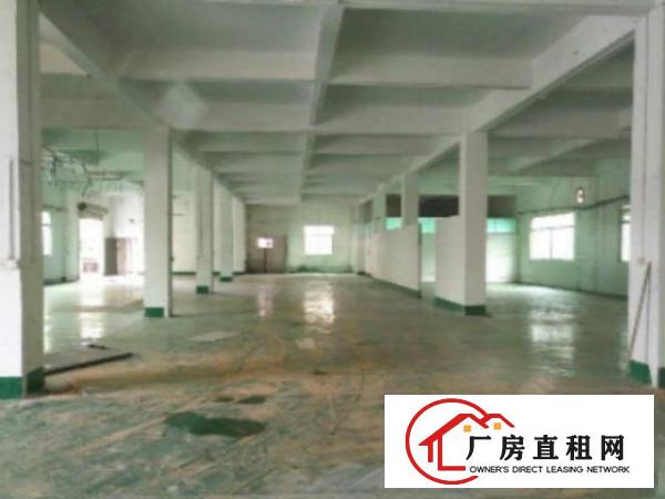  中堂新出独院标准厂房1-2层总面积8500平方出租