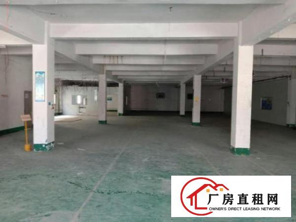  中堂独院标准3层厂房6000平方米带宿舍办公室出租交通方便