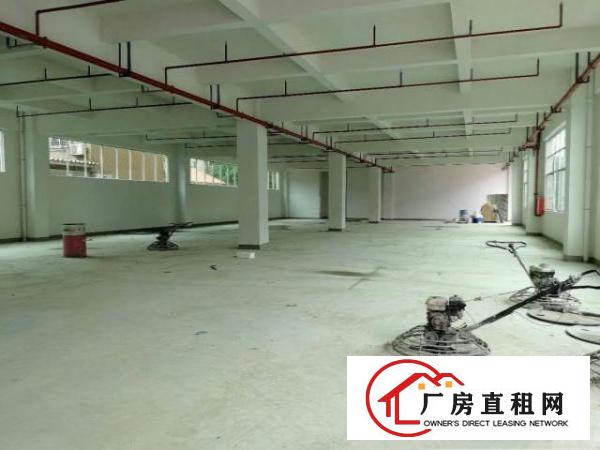  中堂花园式厂房分租一楼1800平方,价格便宜地段好有装修