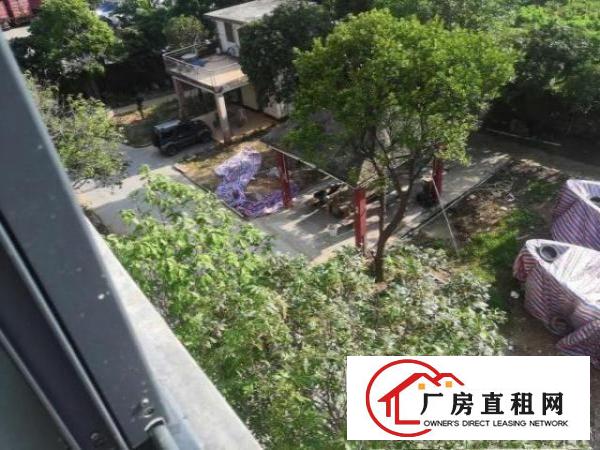  花园式整栋厂房出租，一共3层！