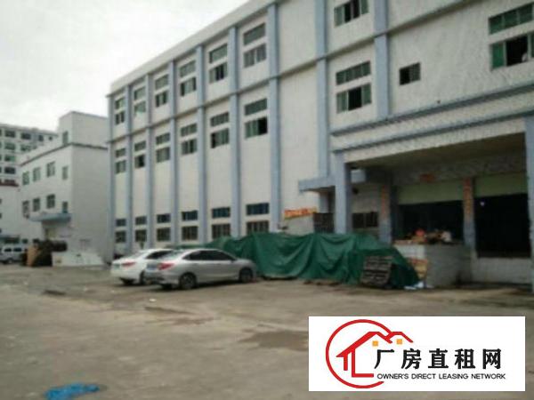  中堂标准一楼厂房500平方800或1000㎡出租可办环评