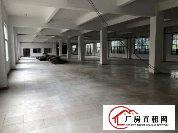  中堂袁家涌工业区一楼2000平米厂房出租,设施水电线路消