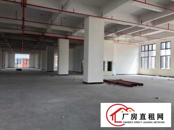  （出租）智能制造产业园1000平方开发商直租享政府租金贴补