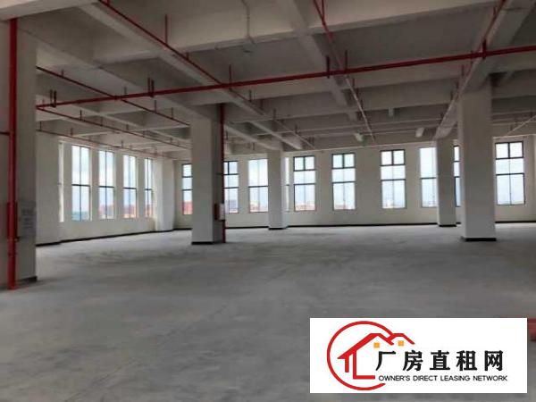  （出租）智能制造产业园1000平方开发商直租享政府租金贴补