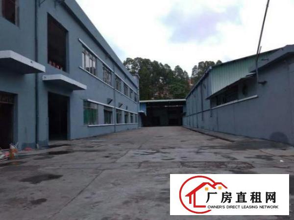  中堂钢构单层自带行车1500平方厂房出租有配套宿舍，现成水电