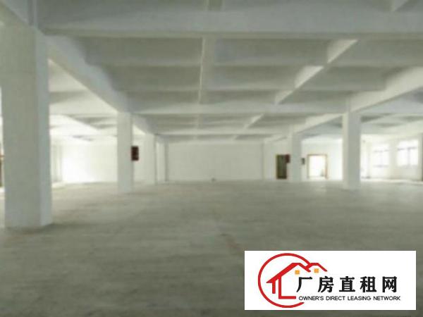  中堂带现成装修标准一楼1400平方招租