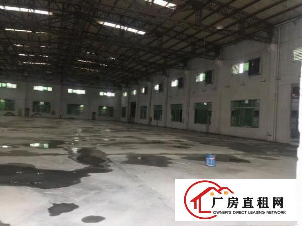 中堂独院单一层钢构厂房5000平方滴水8米出租空地超大