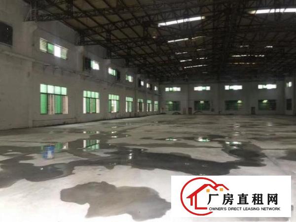  中堂独院单一层钢构厂房5000平方滴水8米出租空地超大
