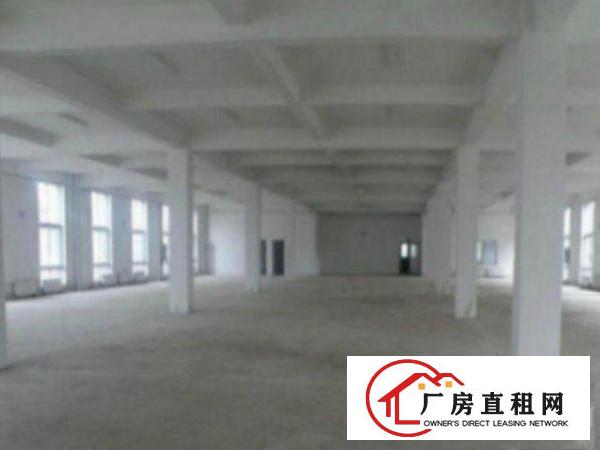  中堂标准一楼厂房500-5000平米低价招租水电线路齐全,空