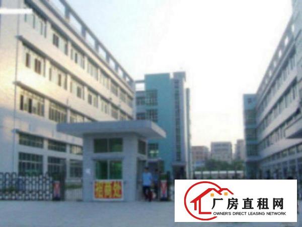  中堂标准一楼厂房500-5000平米低价招租水电线路齐全,空