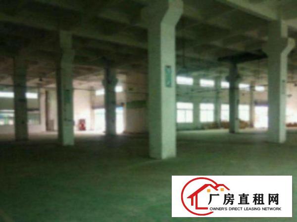  中堂标准一楼厂房500-5000平米低价招租水电线路齐全,空