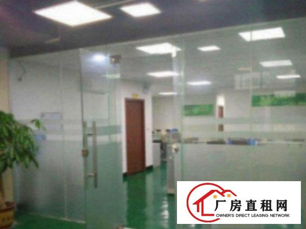  中堂标准一楼厂房500-5000平米低价招租水电线路齐全,空