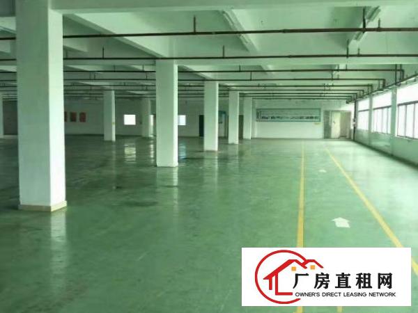  中堂1500平方楼房1栋2楼出租水电齐全工业地