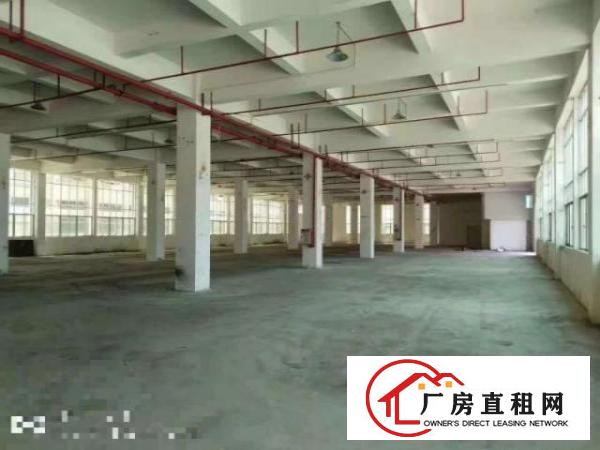  中堂工业区独院厂房一楼1000平方出租水电齐全，有喷淋消防