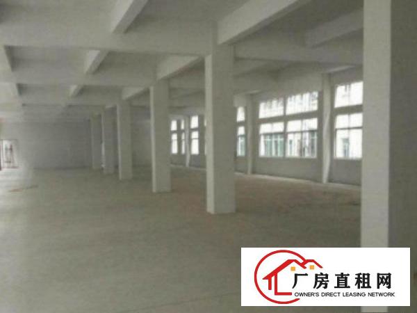  中堂标准一楼厂房1500平方米,层高6米,水电线路齐全空地大