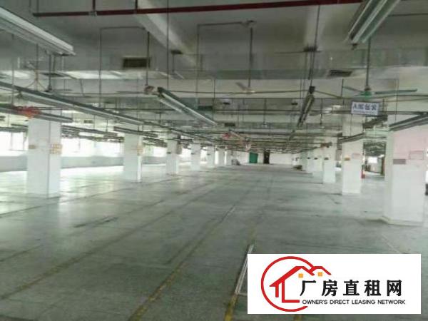  中堂工业区标准厂房分租2000平米非常适合做电子等行业