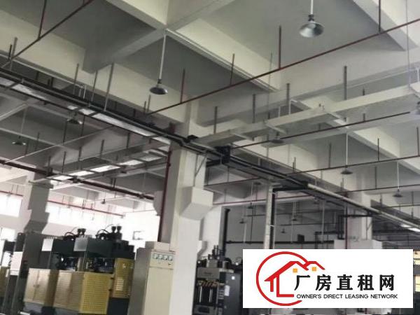  万江标准厂房分租一楼1800平方形象好急租