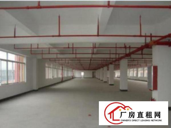  中堂独院标准一楼2000方厂房招租现成装修。水‌‌电，消防。