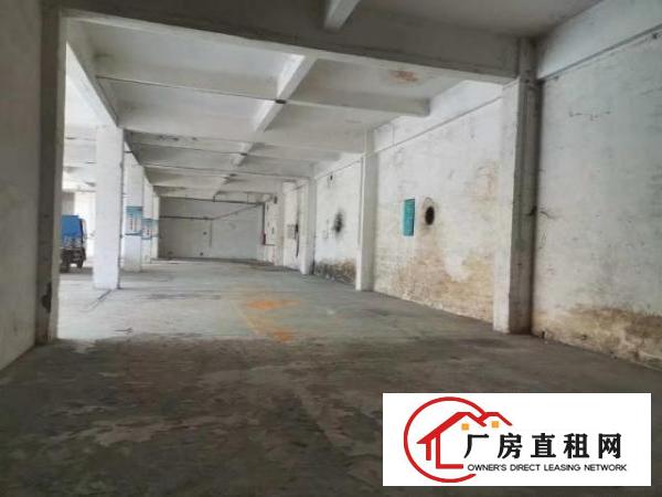  中堂镇原房东独门独院厂房