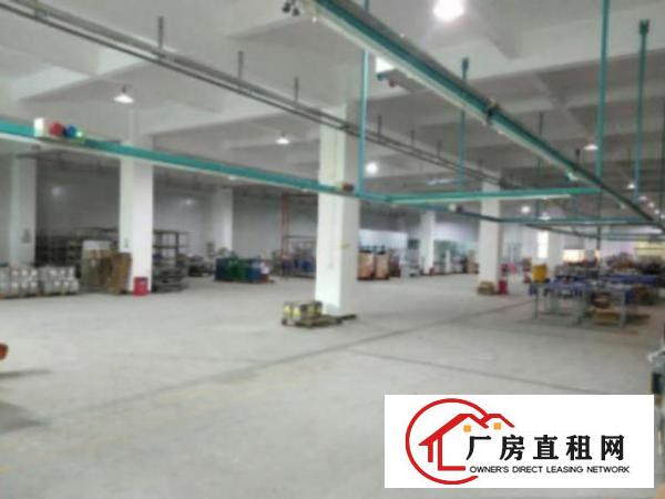  中堂工业区标准厂房一楼1800平方米,一楼6米高出租