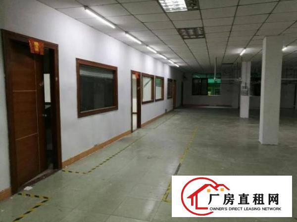  中堂独院标准厂房6000平方出租交通便利，位于大路边