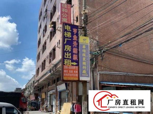  旺区旺厂，200平方-2000平方厂房出租