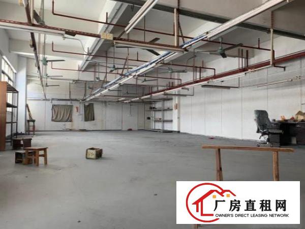  旺区旺厂，200平方-2000平方厂房出租