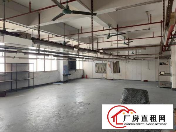  旺区旺厂，200平方-2000平方厂房出租