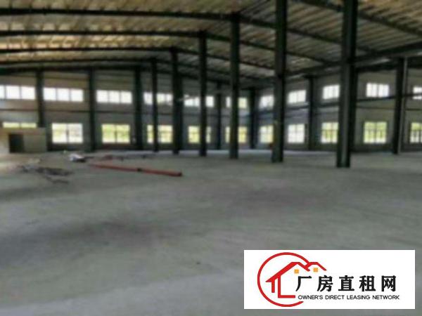  中堂厂房独院厂房800或独院2500平方招租