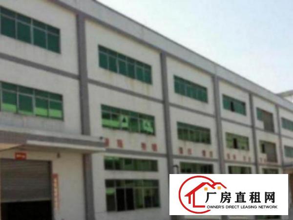  中堂标准厂房分租一楼2000平方米出租有现成的水电和消防设施