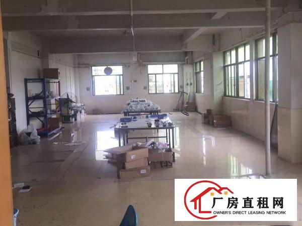  中堂独院分租一楼1000平方低价招租可做模具，注塑压铸自