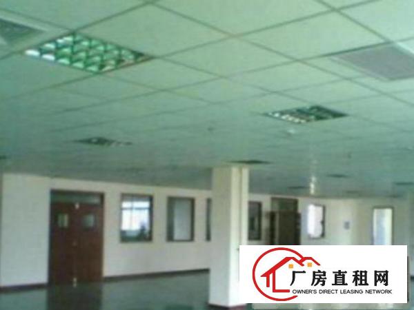  中堂标准一楼厂房500-5000平米低价招租适合五金机械等行