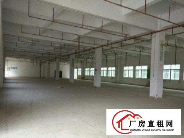  中堂标准一楼厂房500-5000平米低价招租适合五金机械等行