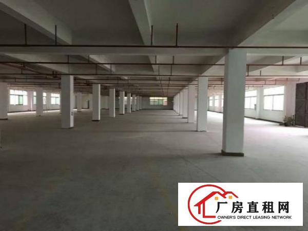  中堂标准厂房2000平方出租有精装办公室，水电消防齐全
