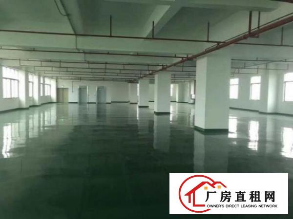  中堂标准一楼厂房500平方800或1000㎡出租工业区环境好