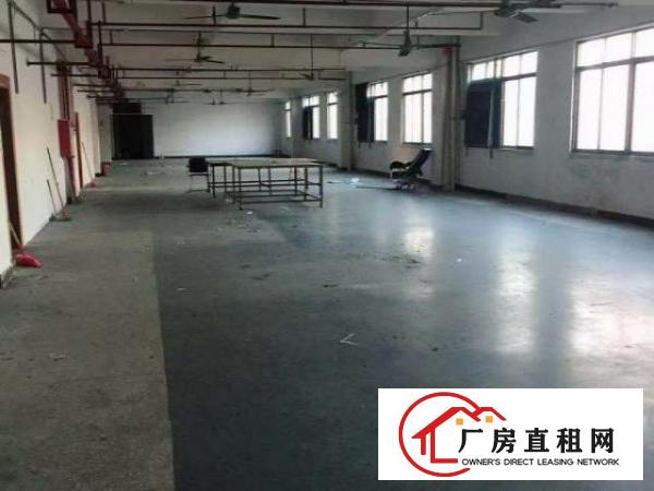 江南工业区厂房2000平米