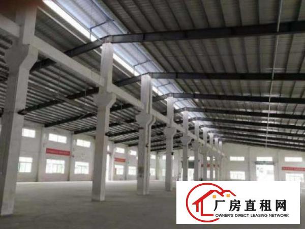  中堂新出钢结构单一层8米牛角位4500平方厂房出租价格优惠