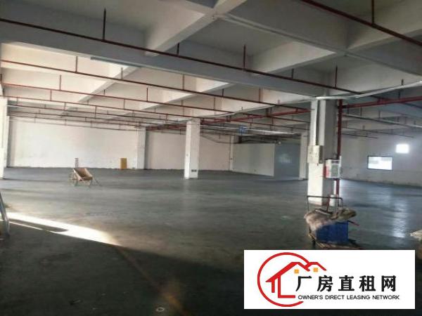  中堂一楼1700平米标准厂房出租,有现成的办公室装修，空地大