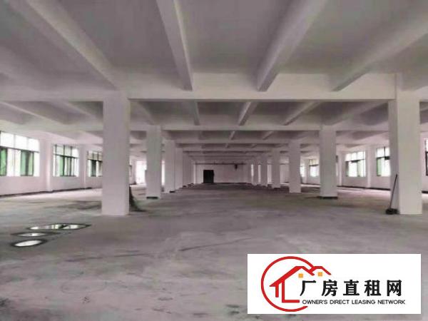  中堂工业区标准一楼1000平方招租水电齐全五金塑胶等行业