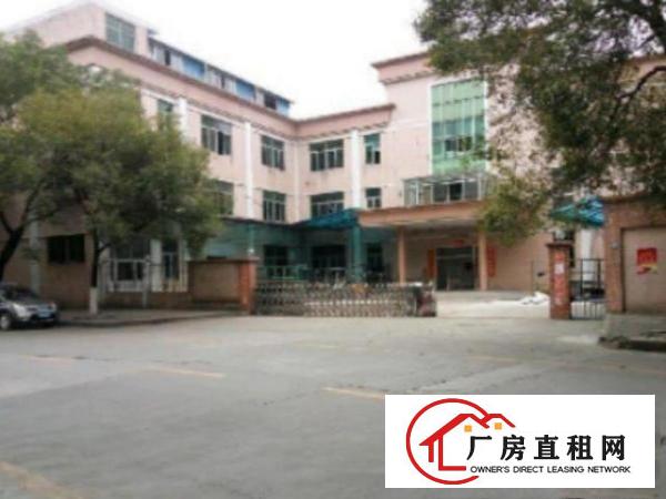  中堂单一层厂房2500平方，滴水8米高，办公楼2层300平方