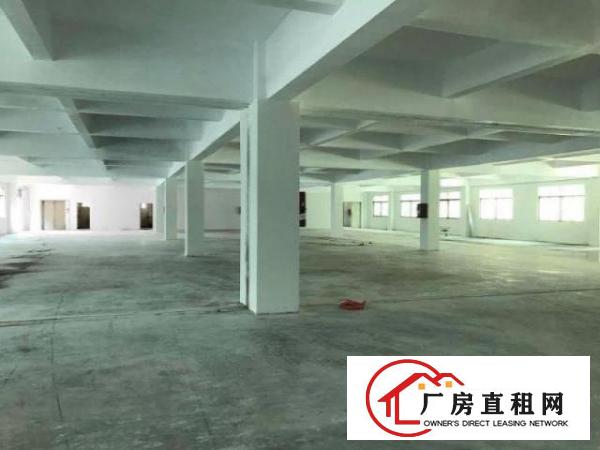  中堂单一层厂房2500平方，滴水8米高，办公楼2层300平方
