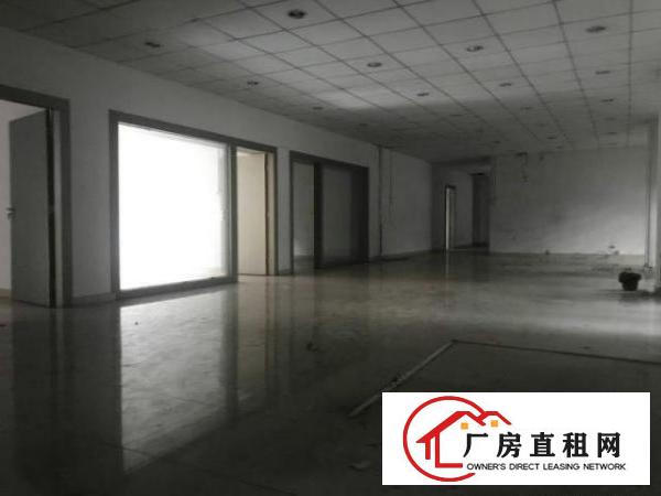  中堂标准独院一楼厂房出租5001500、2000平方出租