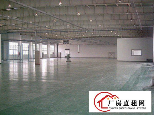  中堂标准一楼厂房300-2000平米低价招租
