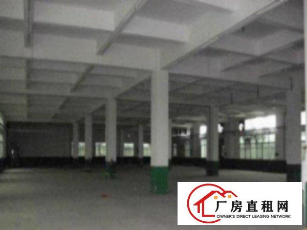  中堂标准一楼厂房300-2000平米低价招租