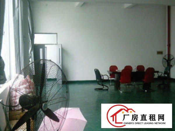  中堂标准一楼厂房300-2000平米低价招租