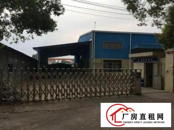  中堂标准一楼厂房300-2000平米低价招租
