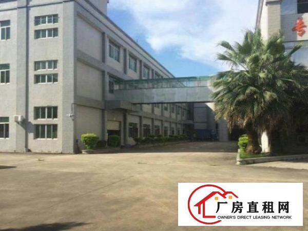  中堂标准一楼厂房300-2000平米低价招租